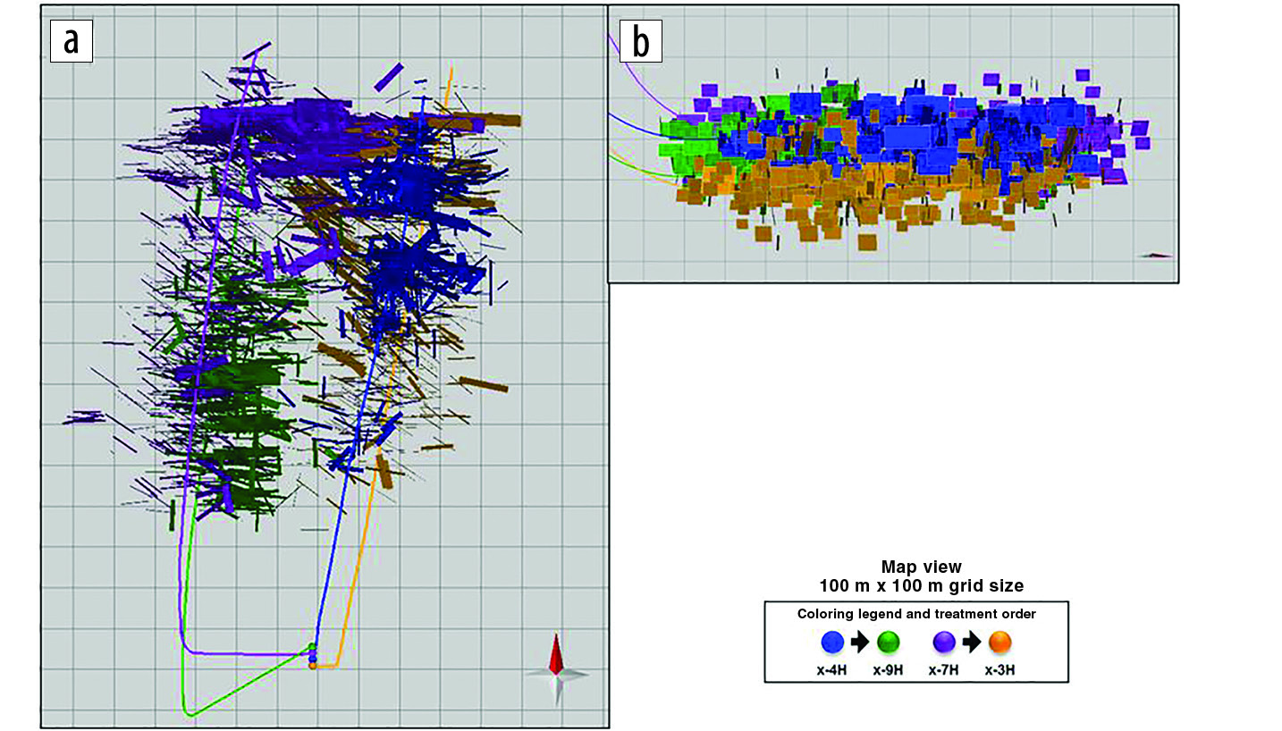 Vaca Muerta discrete fracture network derived from microseismic monitoring of four horizontal wells