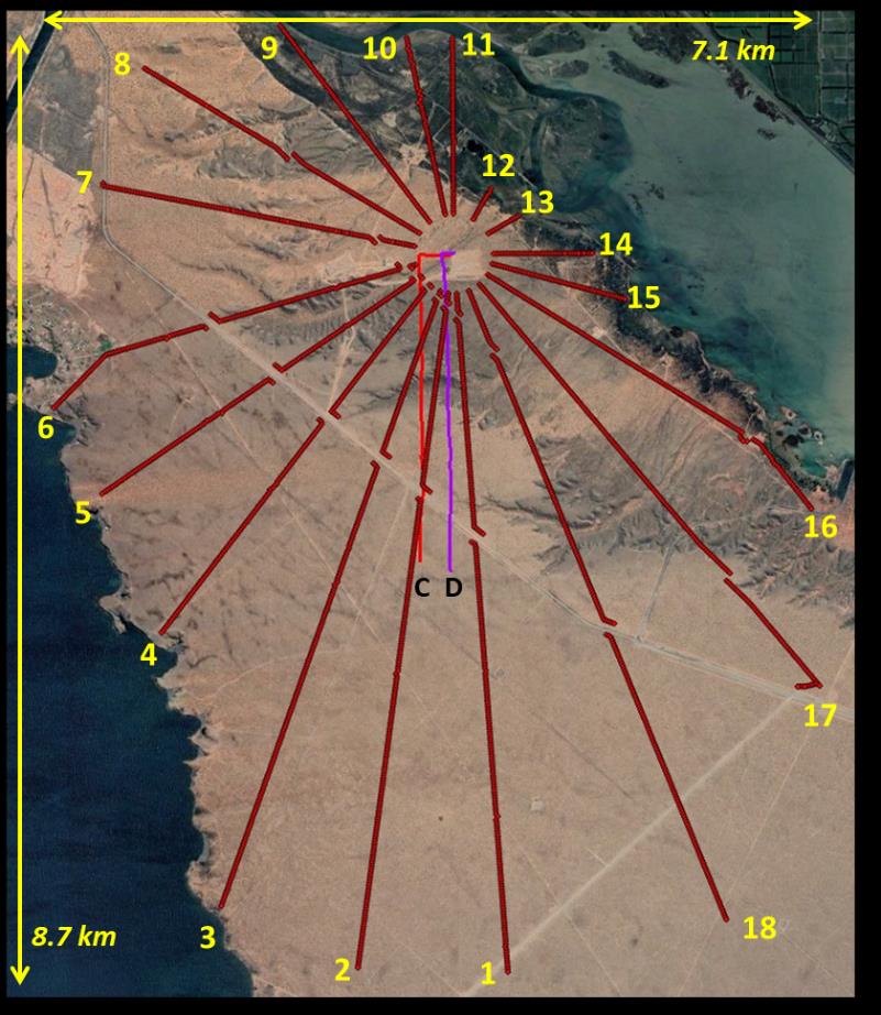 Surface microseismic monitoring array surrounding two horizontal Vaca Muerta wells